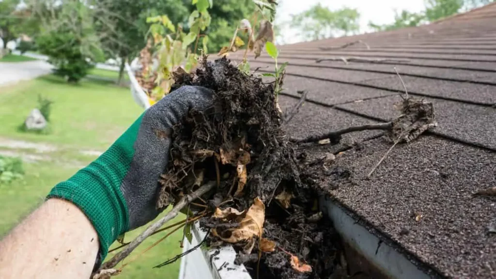 Problems With Not Cleaning Gutters