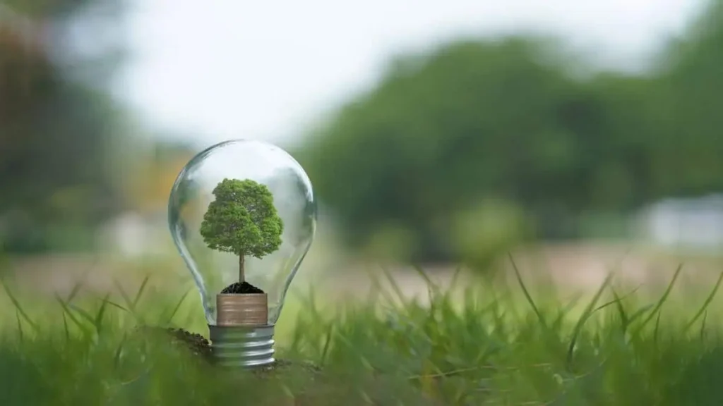 Environmental Benefits Of Energy-efficient Home