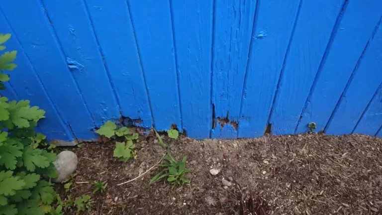 How to Fix Siding Too Close to the Ground