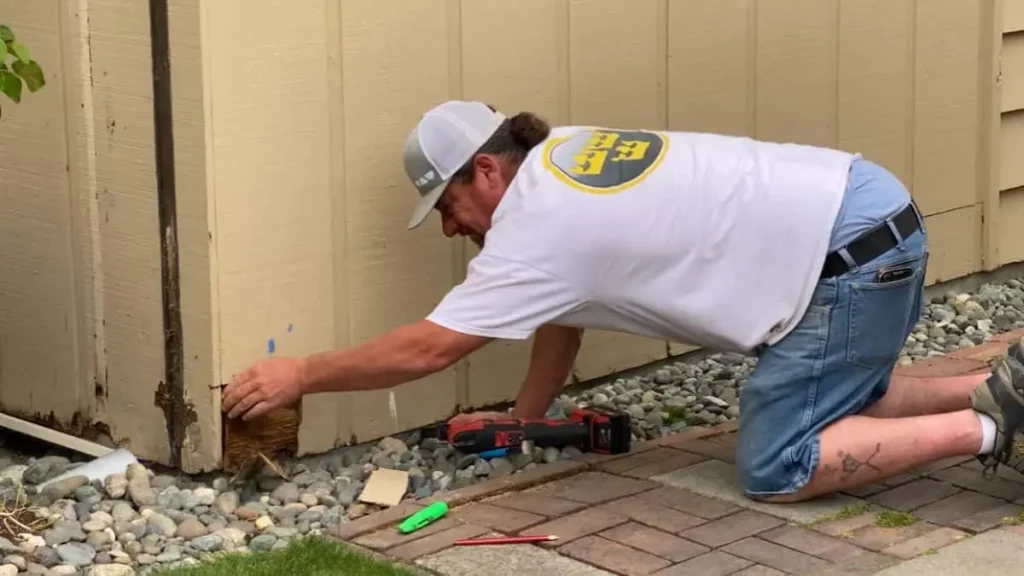 Remove Damaged Siding